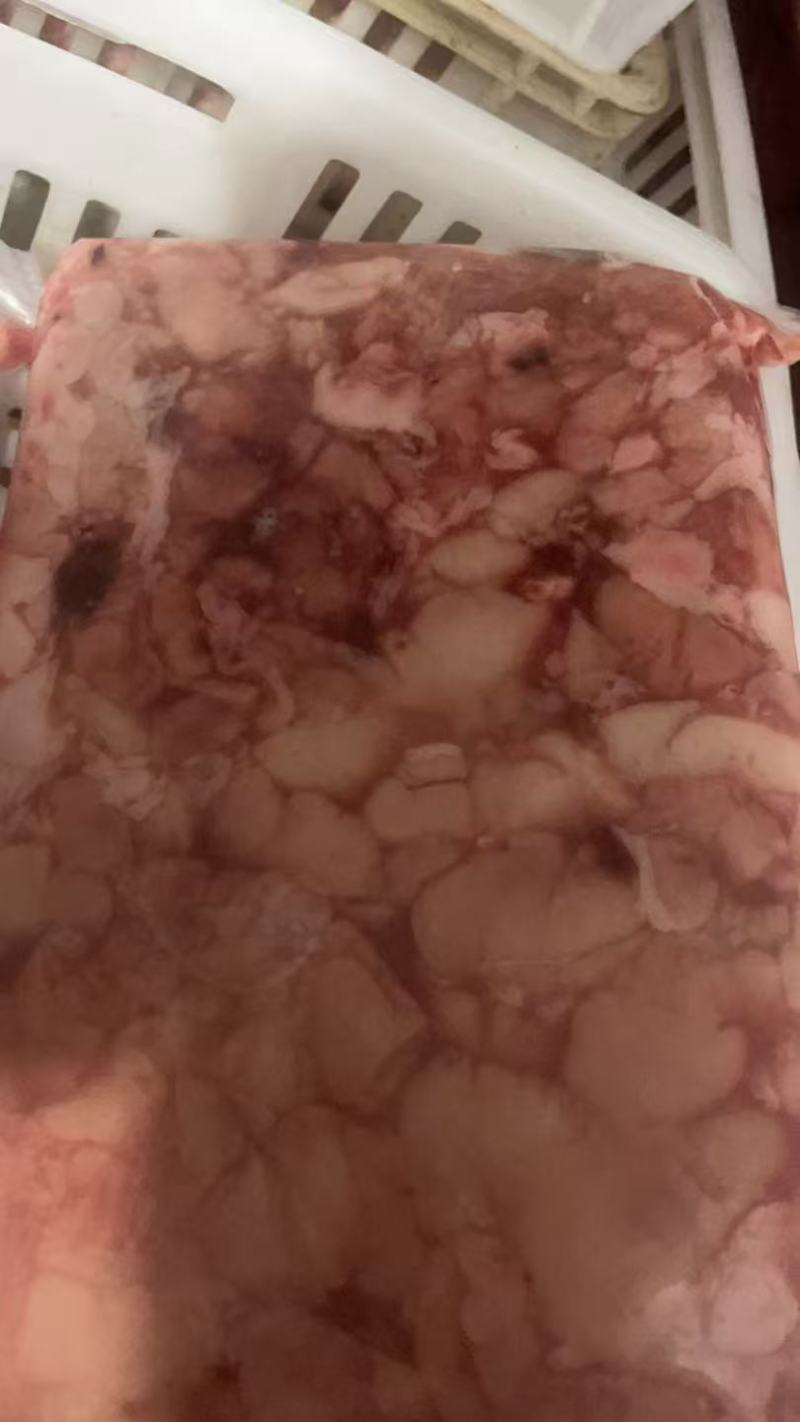 鲤鱼鱼白加工中，速冻冻板