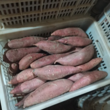 西瓜红
