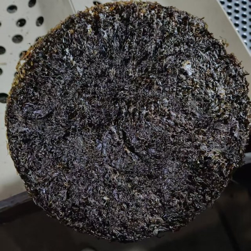 霞浦紫菜