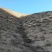 甘肃大山深处自家放养跑山羊