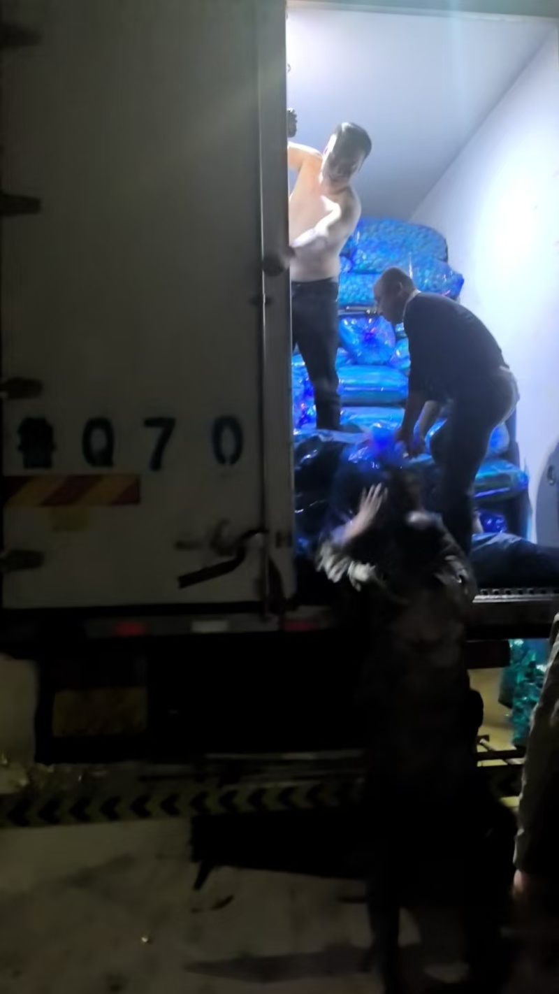 双季茭“余茭4号”高产茭白种苗挑选苗墩老根苗