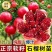 软籽石榴苗蒙阳红甜石榴现挖现发包成活结果