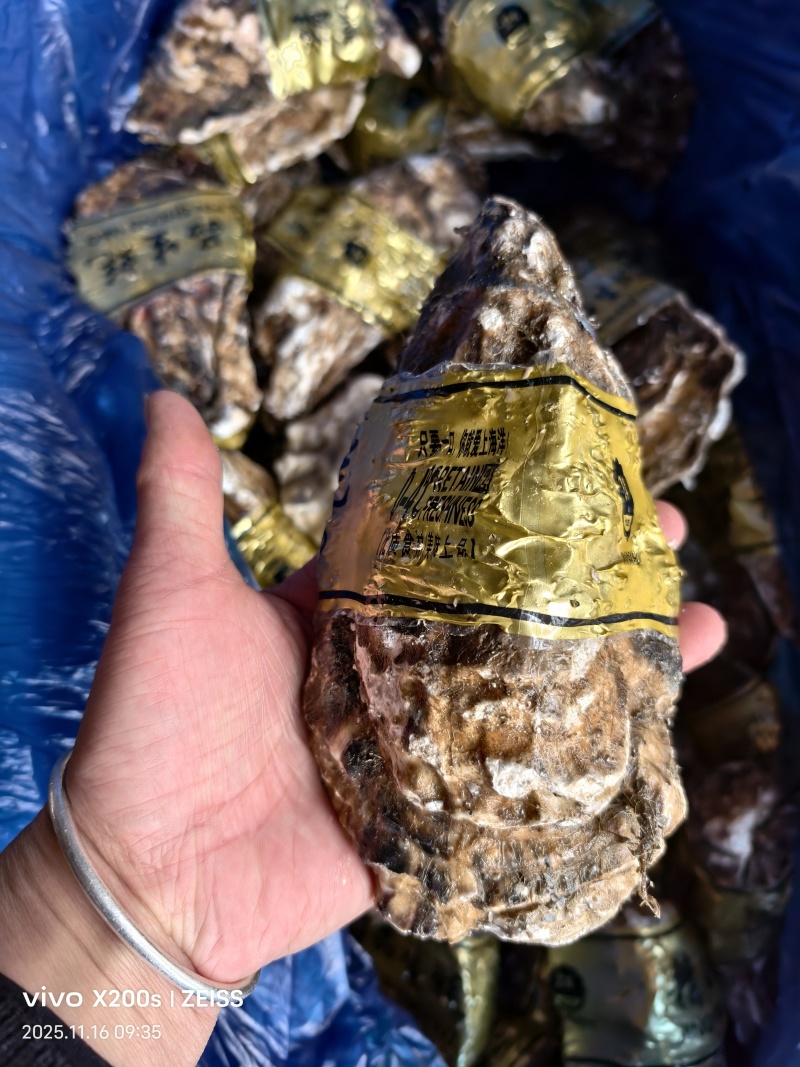 生蚝海蛎朝鲜肥生蚝可视频看货支持线上交易