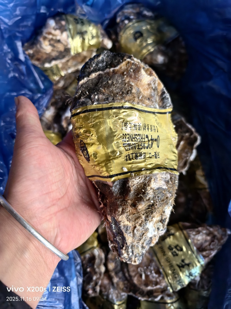生蚝海蛎朝鲜肥生蚝可视频看货支持线上交易