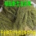 百蕊草冷背中药材大全批发零售货真价实假一赔十