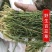 百蕊草冷背中药材大全批发零售货真价实假一赔十