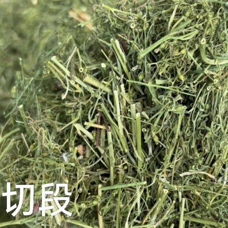 百蕊草冷背中药材大全批发零售货真价实假一赔十