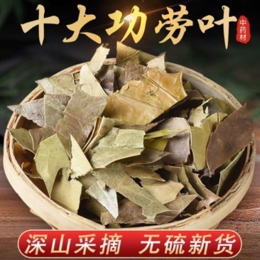 功劳叶冷背中药才大全工劳叶批发零售货真价实