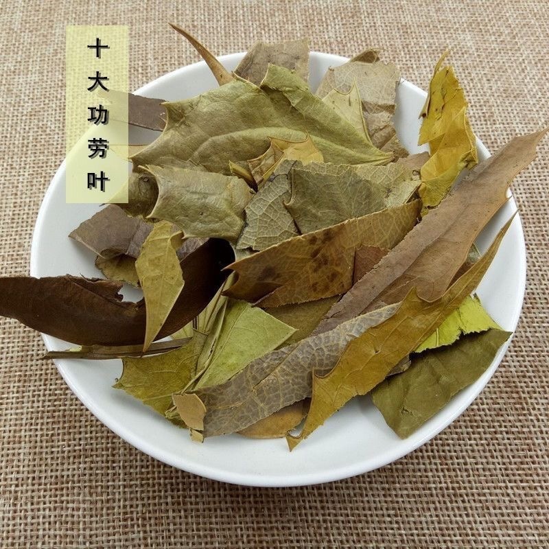 功劳叶冷背中药才大全工劳叶批发零售货真价实