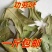 功劳叶冷背中药才大全工劳叶批发零售货真价实