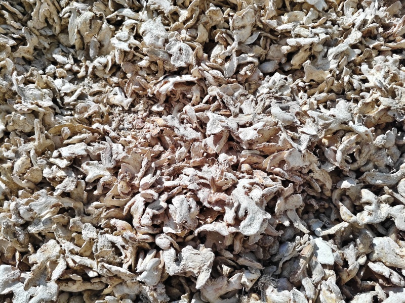 云南小黄姜片