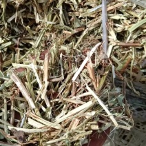 花生秧无土少膜厂家直销品质保证！