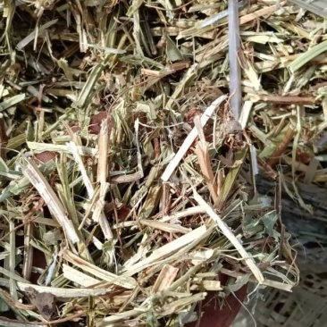 花生秧无土少膜厂家直销品质保证！