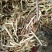 花生秧无土少膜厂家直销品质保证！