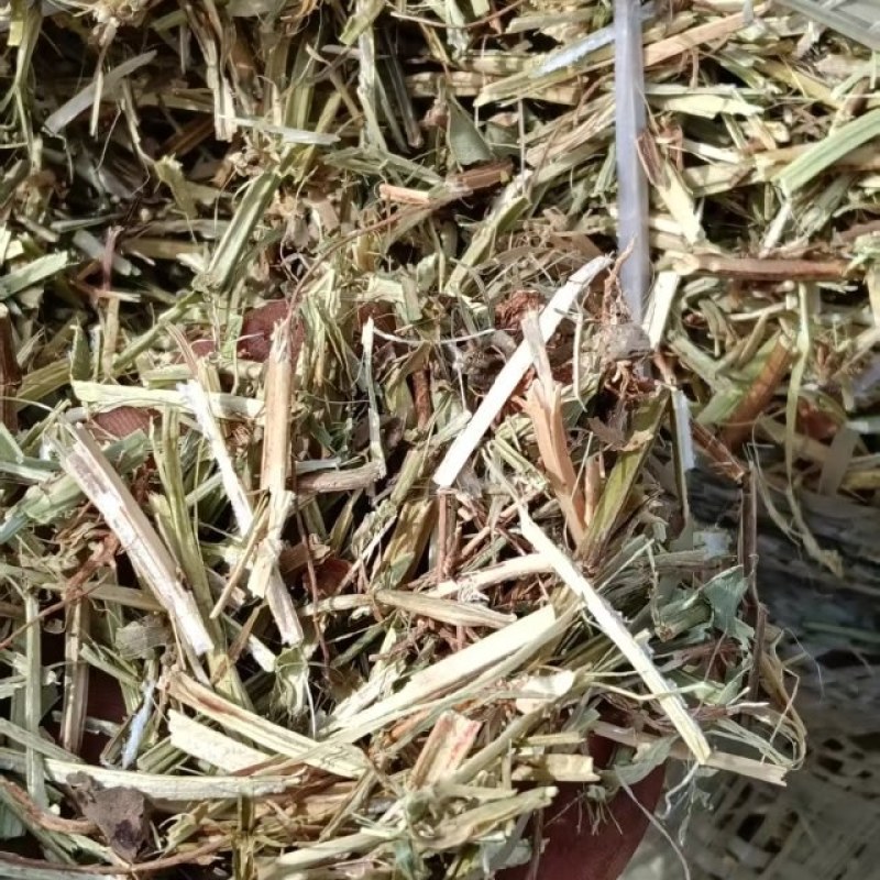 花生秧无土少膜厂家直销品质保证！