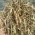 花生秧无土少膜厂家直销品质保证！