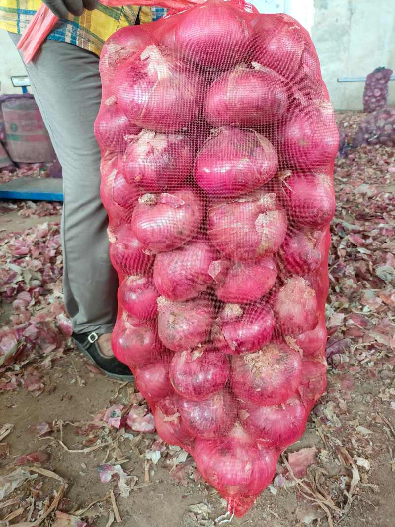 山东聊城红皮洋葱二红洋葱扁葱万吨冷库代存代发