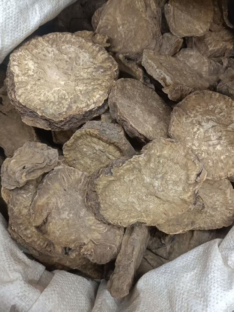 大黄多种中药一起批发正宗的马蹄大黄，水大黄需要放心下单