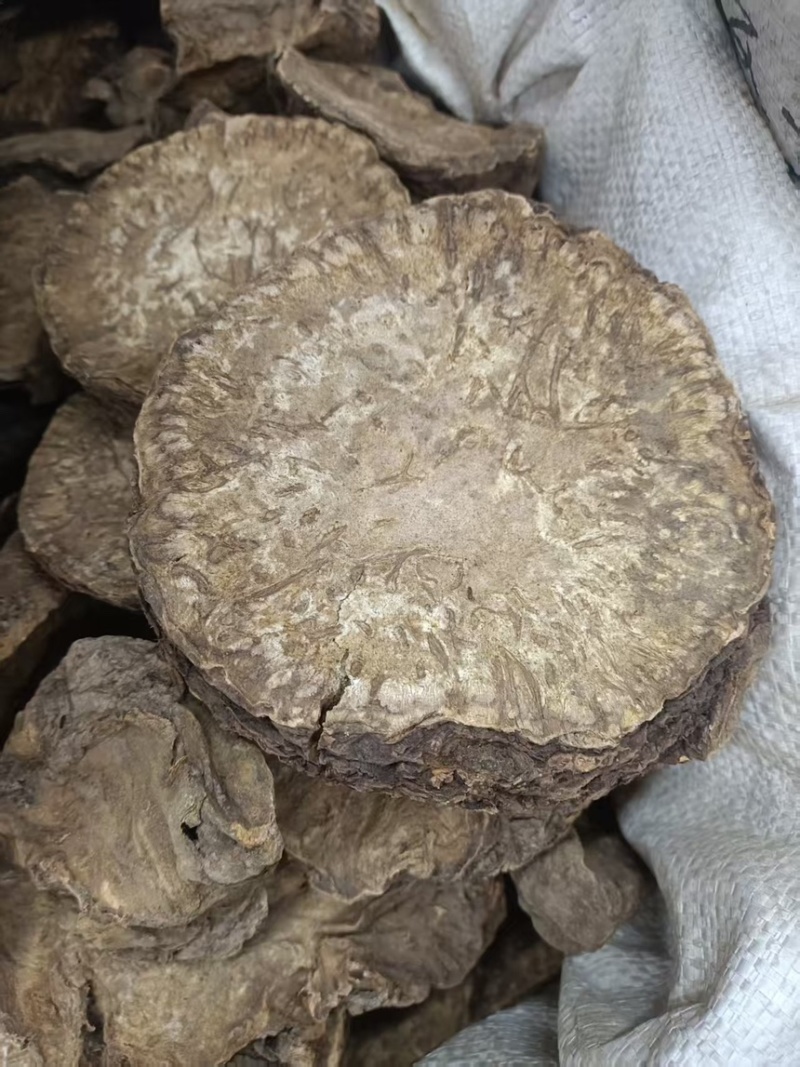 大黄多种中药一起批发正宗的马蹄大黄，水大黄需要放心下单