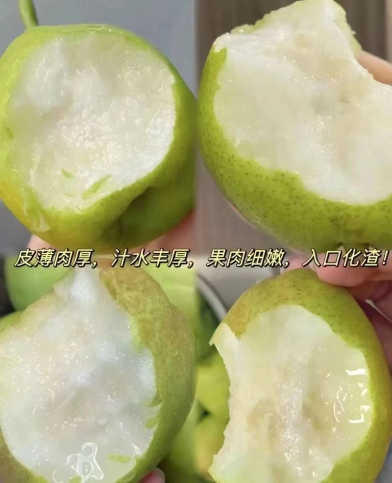 山西省临汾市隰县玉露香梨