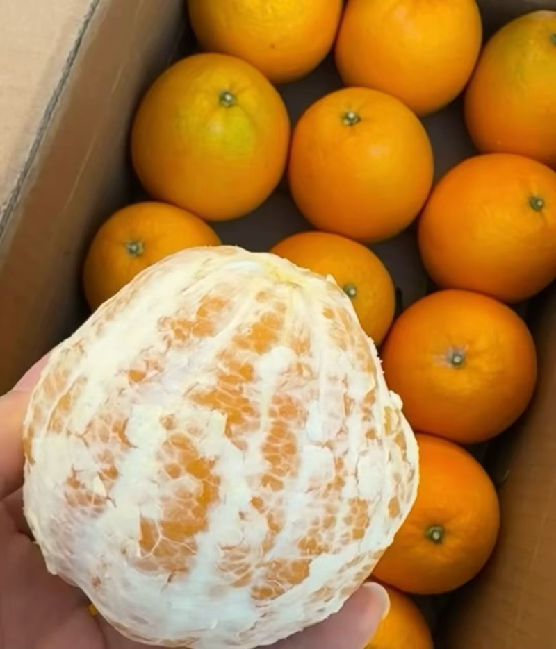 橙子纽荷尔脐橙现摘现发九分甜一分酸欢迎订购