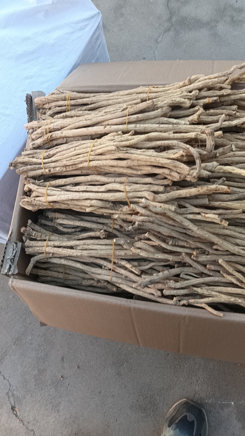防风精选