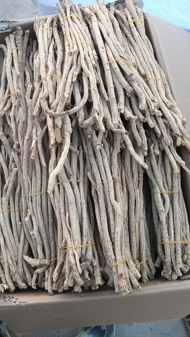 防风精选