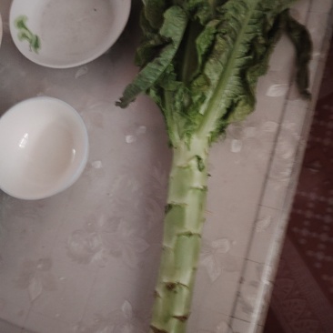 红叶尖莴苣大量上市
