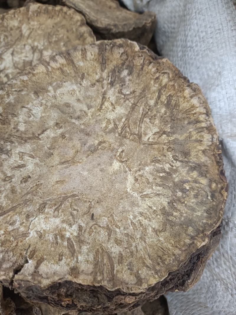 大黄货品均实物拍摄规格有货有需要放心下单