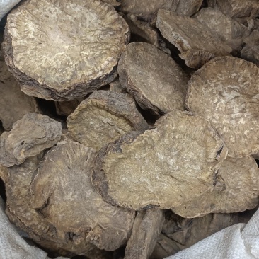 大黄货品均实物拍摄规格有货有需要放心下单