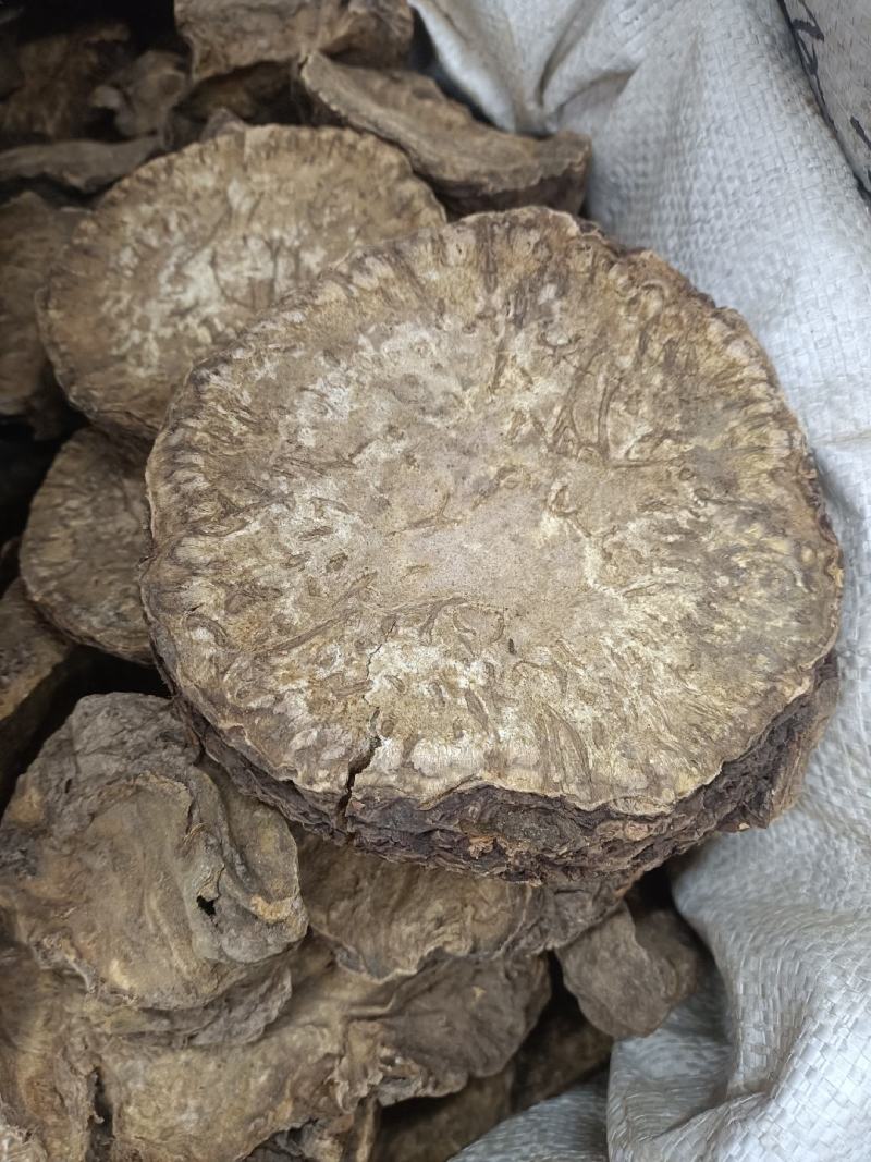 大黄货品均实物拍摄规格有货有需要放心下单