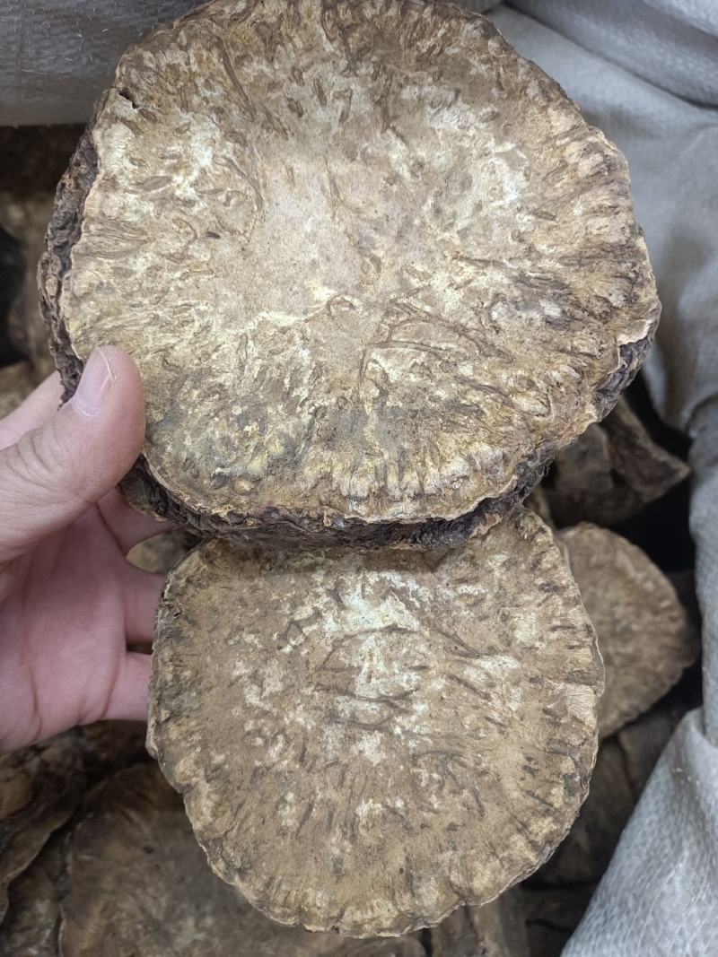大黄货品均实物拍摄规格有货有需要放心下单