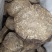 大黄货品均实物拍摄规格有货有需要放心下单