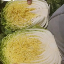精品矮颗大白菜，质量保证价格优惠，货源充足，万亩种植面积