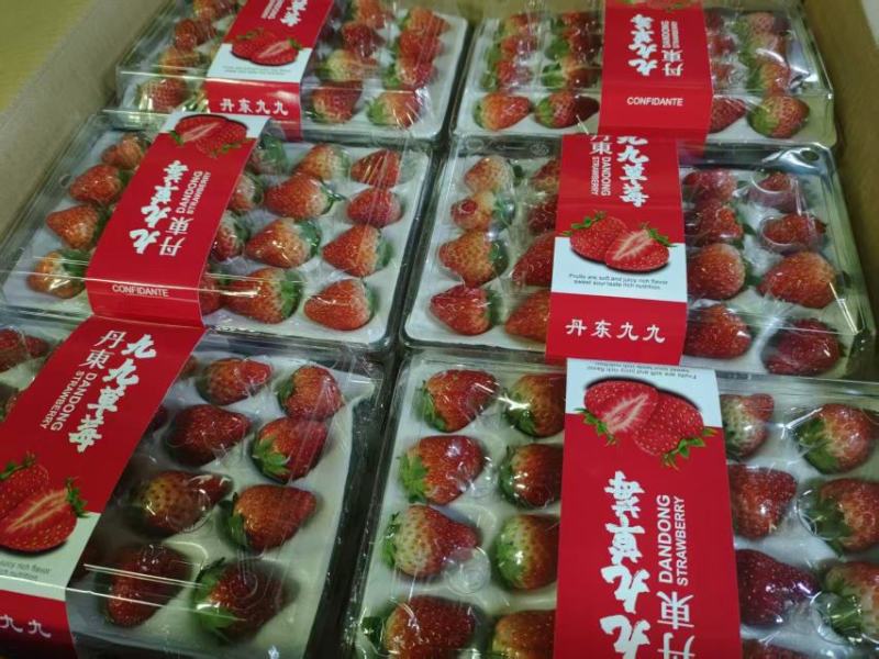 丹东九九草莓，红颜草莓，大量上市，一件代发，对接全国
