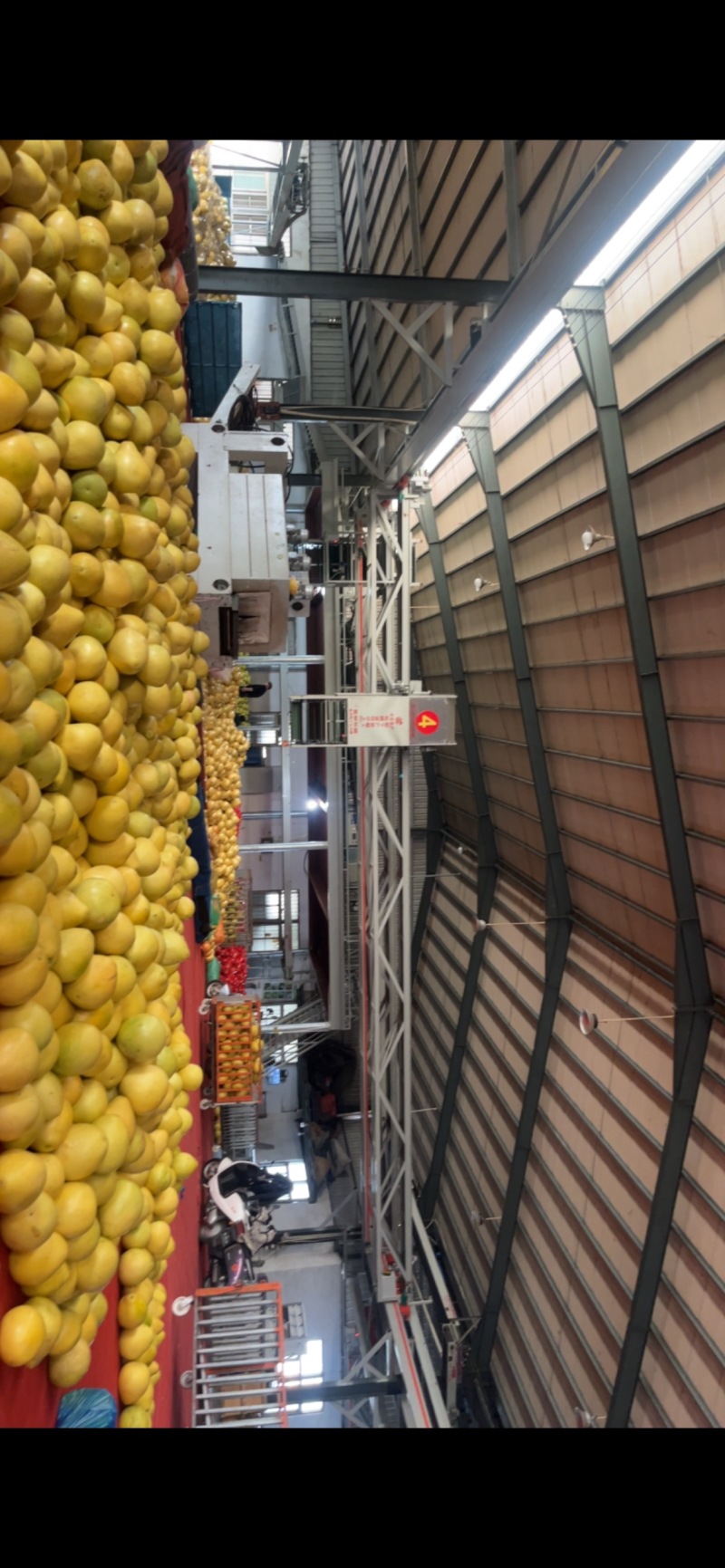 福建平和琯溪红心柚