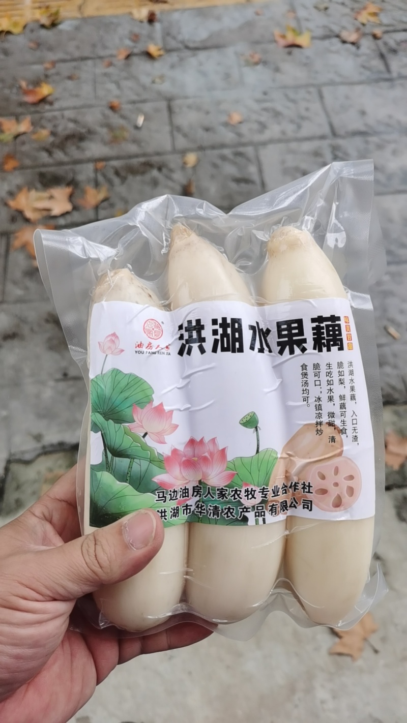 真实价格，水果藕，洪湖莲藕，用于清炒和刺生制作。