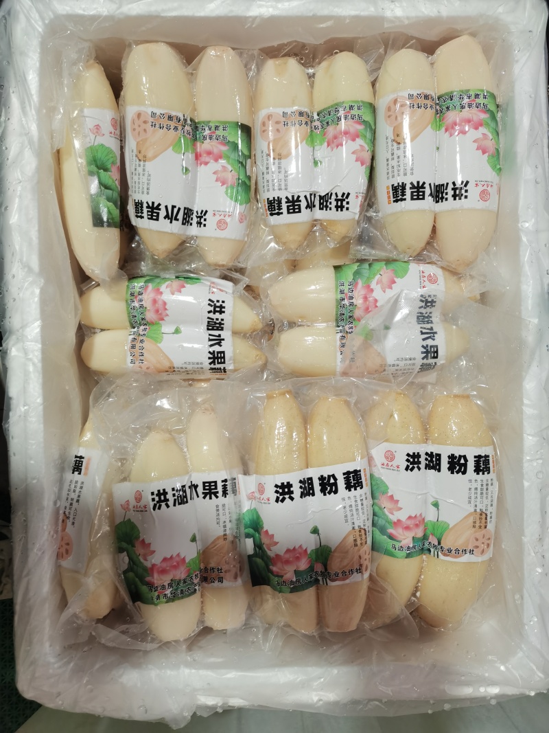 真实价格，水果藕，洪湖莲藕，用于清炒和刺生制作。