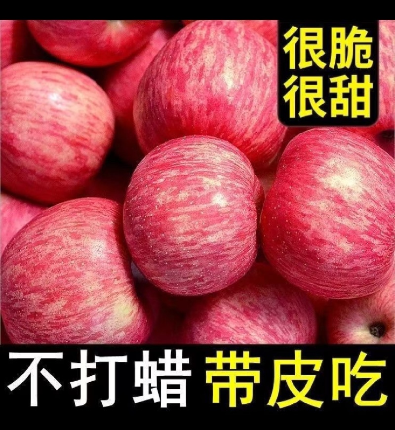 【现摘】2025年红富士苹果正宗新鲜水果当季水果爆甜整箱