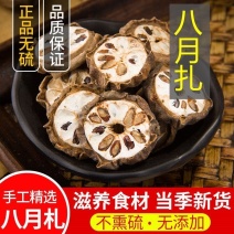 八月扎中药材冷背中药材大全批发零售货真价实预知子