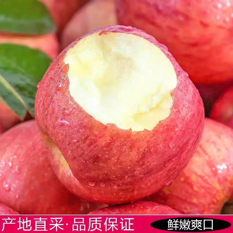 正宗红富士苹果水果脆甜不打蜡不催熟孕妇果整箱