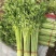 江苏精品芹菜,小香芹一手货源量大从优代发全国商超