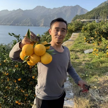 九月红橙子