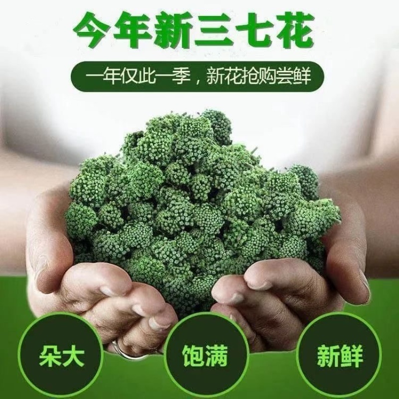 三七花正宗云南三七花批发零售货真价实头茬新花