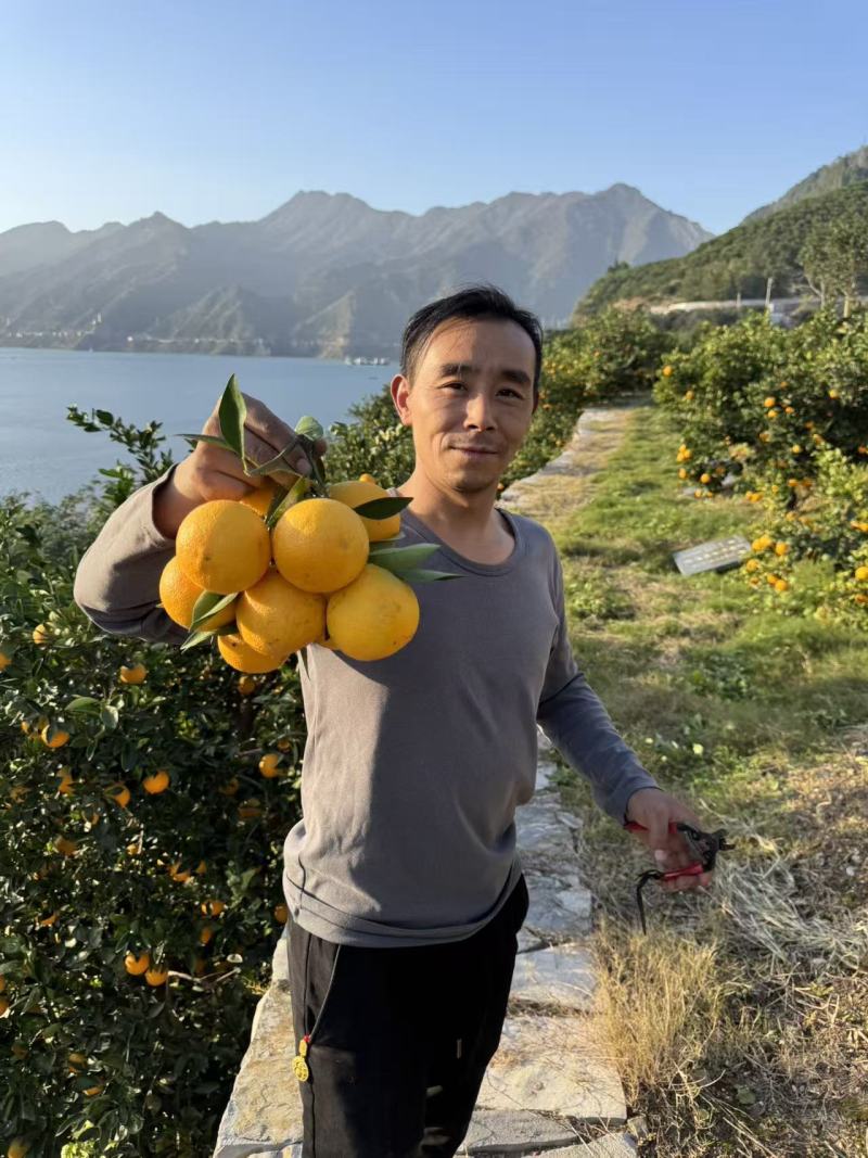 九月红橙子