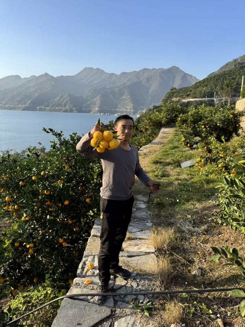 九月红橙子