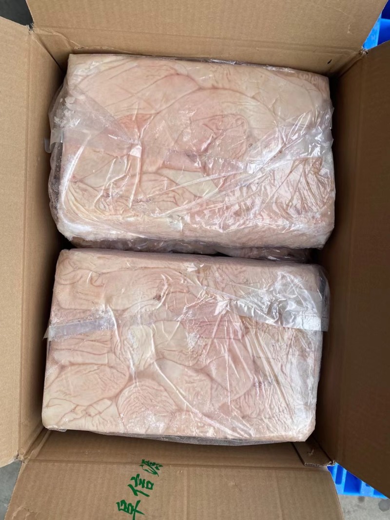 肥猪新货预煮大肠东北货，沈阳低价出