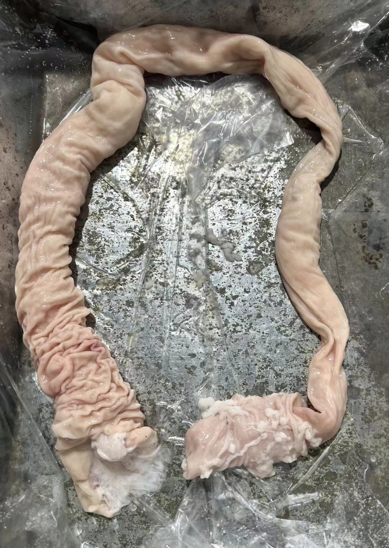 肥猪新货预煮大肠东北货，沈阳低价出