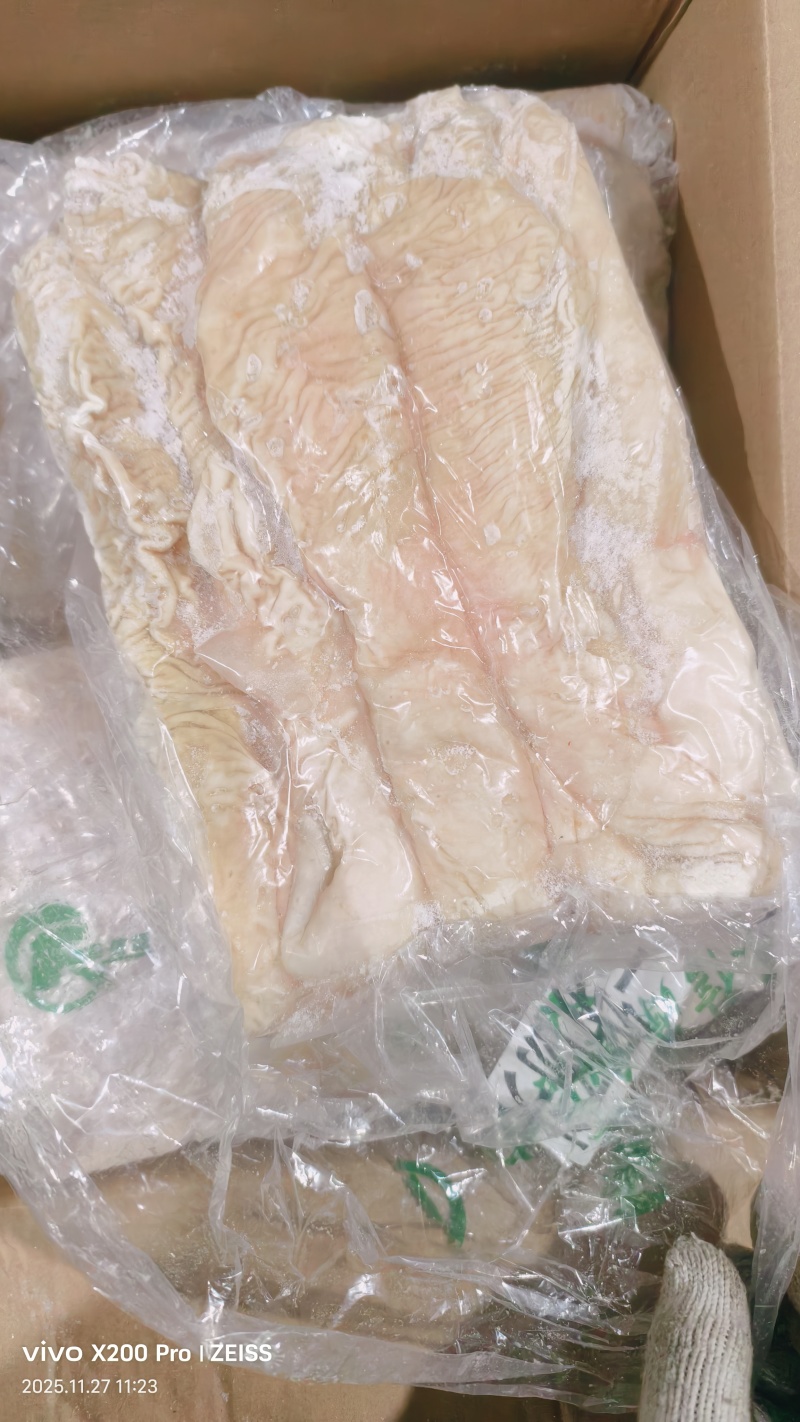 肥猪新货预煮大肠东北货，沈阳低价出
