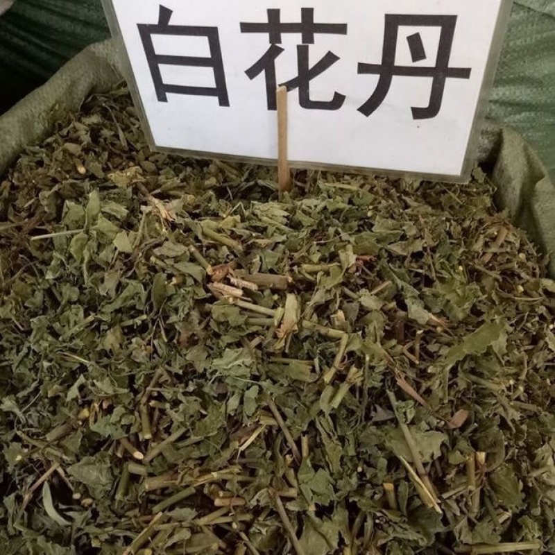 白花丹冷背中药材大全批发零售货真价实假一赔十